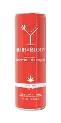 Herb & Bloom Strawberry Daiquiri 4pk